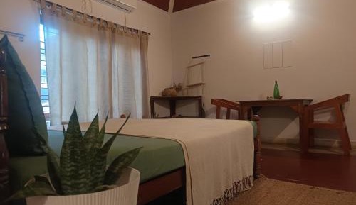 6-Bed Mixed Dormitory Room