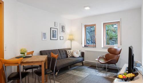 Superior One-Bedroom Apartment