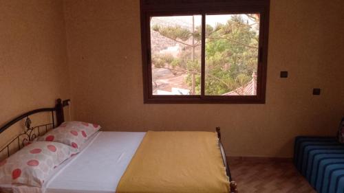 Room #1254169509