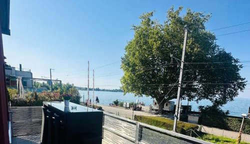 Three-Bedroom Apartment with Lake View