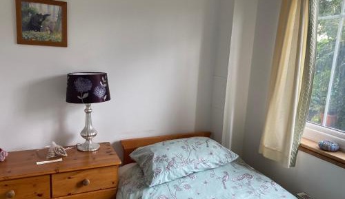 Economy Single Room