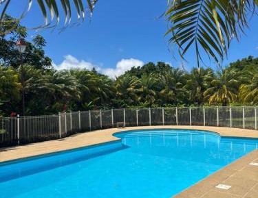 Two-Bedroom Apartment with Pool View