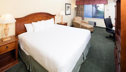 King Room - Disability Access