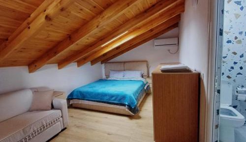Deluxe Double or Twin Room with Mountain View