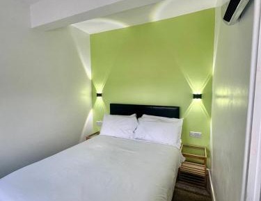 Deluxe One-Bedroom Apartment