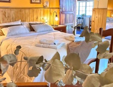 Superior Queen Room