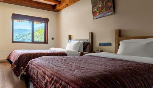 Deluxe Double or Twin Room with Mountain View