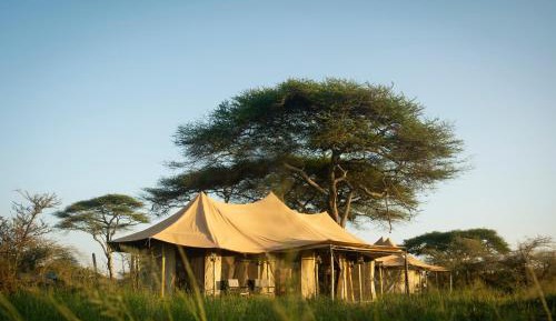 Tent