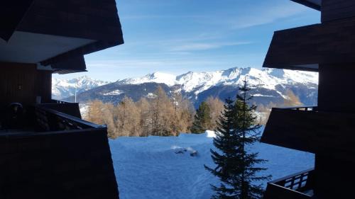 Apartment with Mountain View