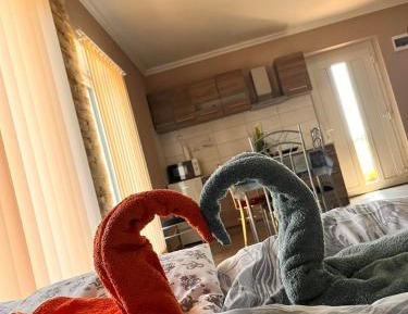 Suite Apartment