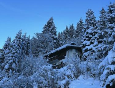 Three-Bedroom Chalet