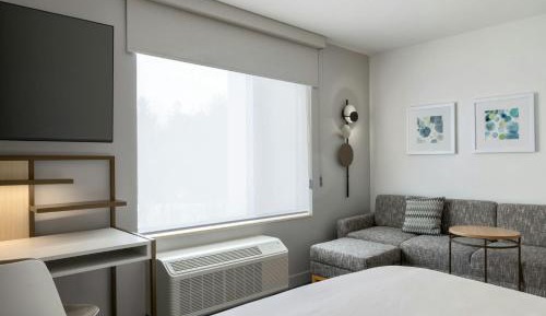 King Studio with Sofa Bed