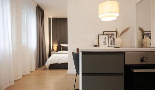 One-Bedroom Apartment with Terrace