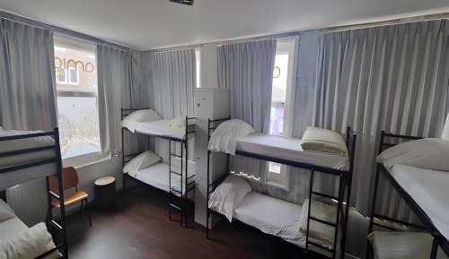Bed in 8-Bed Mixed Dormitory Room