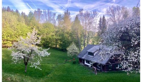 Three-Bedroom Chalet