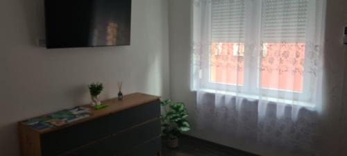 One-Bedroom Standard Apartment