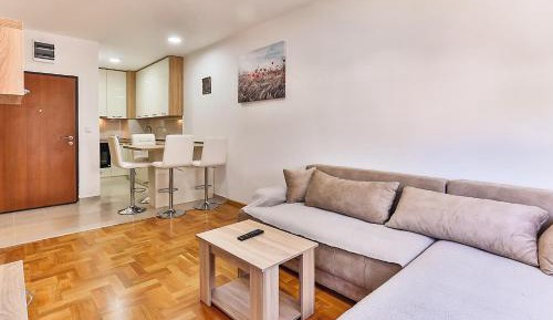 Apartment with City View