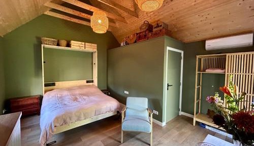 King Room with Garden View