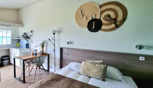 Beach Lodge Studio
