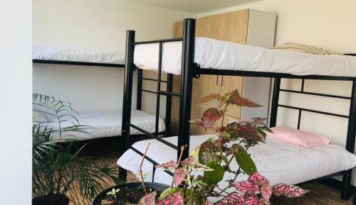 Single Bed in Female Dormitory Room