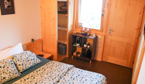 Double Room with Mountain View