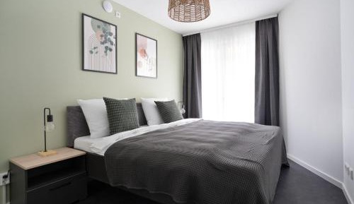 Deluxe One-Bedroom Apartment