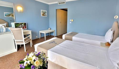 Double or Twin Room with Balcony and Park View