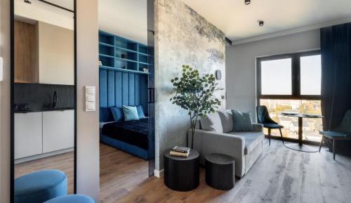 Deluxe One-Bedroom Apartment