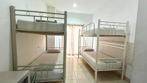 4-Bed Mixed Dormitory Room