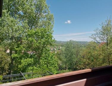 Double Room with Private Bathroom and Balcony