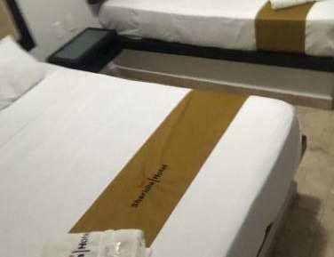 Double Room with Two Double Beds
