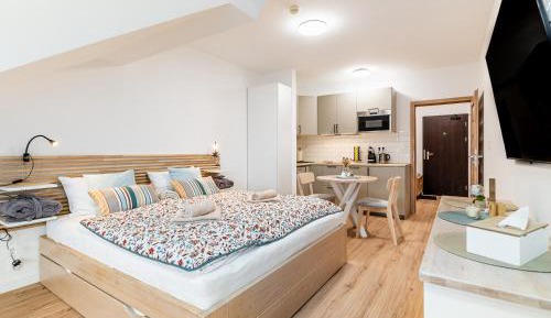 Studio Apartment