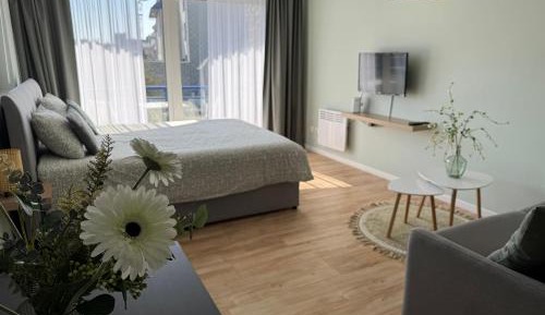 King Studio with Sofa Bed