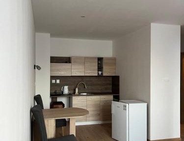 One-Bedroom Premier Apartment