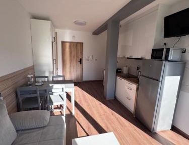 One-Bedroom Deluxe Apartment