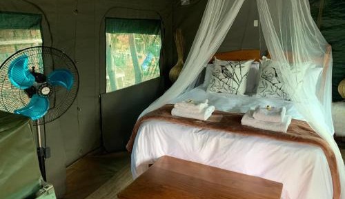 Tent