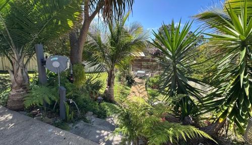 Single Room with Garden View