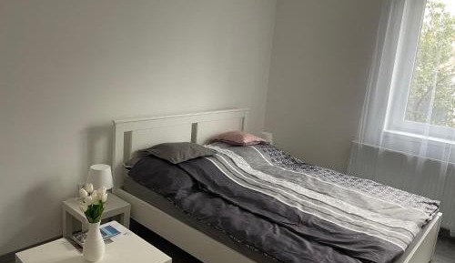 One-Bedroom Apartment with Terrace