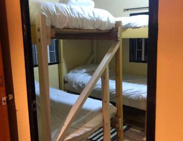 Bed in 4-Bed Dormitory Room