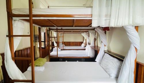 Bed in 4-Bed Mixed Dormitory Room