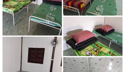 Single Bed in Mixed Dormitory Room