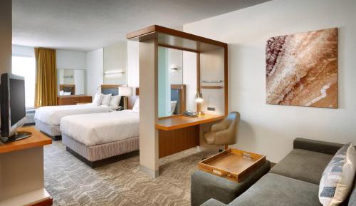 Queen Studio with Sofa Bed and Roll-in Shower - Mobility and Hearing Accessible