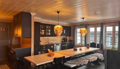 Duplex Apartment