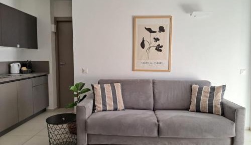 One-Bedroom Standard Apartment