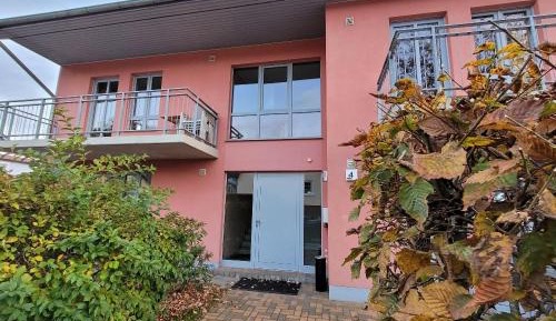 One-Bedroom Standard Apartment