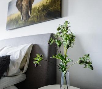 Apartment with Balcony