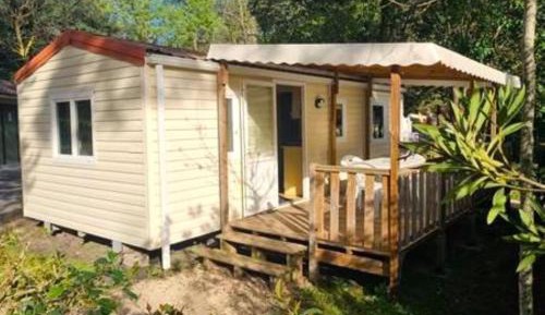 Mobile Home