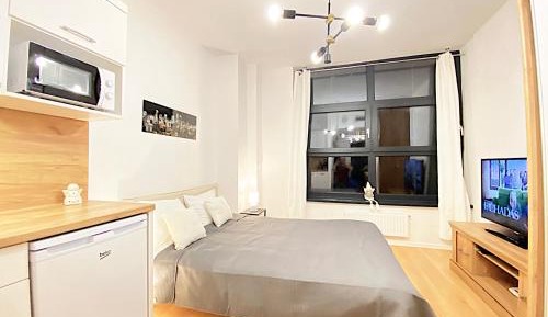Studio Apartment