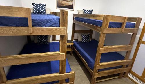 4-Bed Mixed Dormitory Room