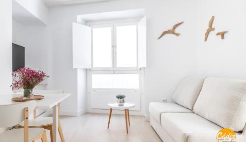 Apartment - Disability Access